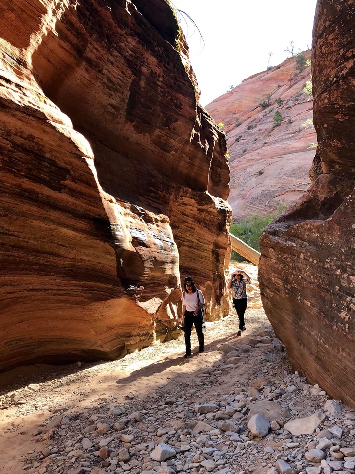 hiking