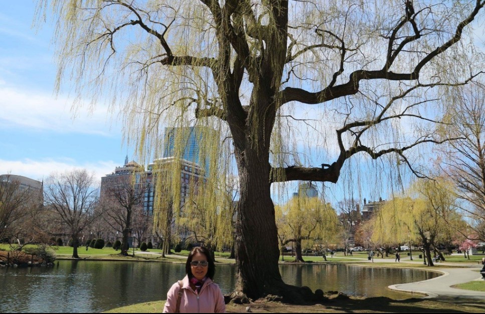 thaoduoicaylieu